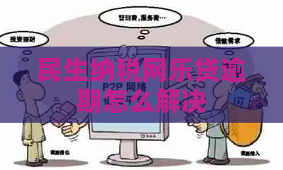 民生纳税网乐贷逾期怎么解决