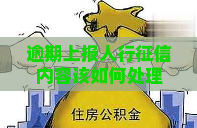 逾期上报人行内容该如何处理