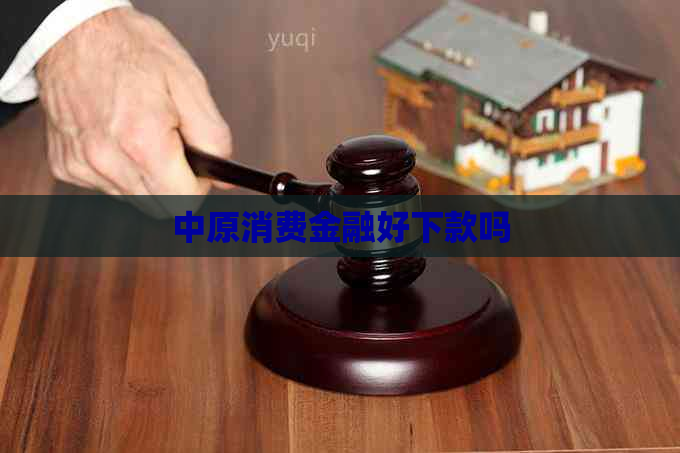 中原消费金融好下款吗