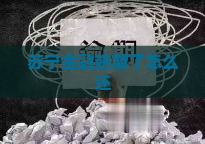 苏宁金融逾期了怎么还