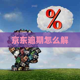京东逾期怎么解