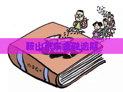 鞍山京东金融逾期