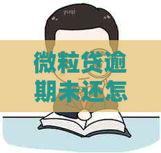 微粒贷逾期未还怎么处理