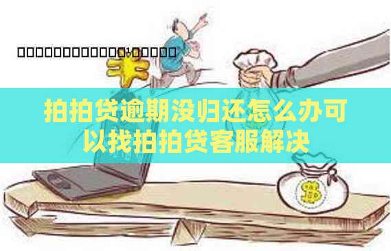 逾期没归还怎么办可以找客服解决