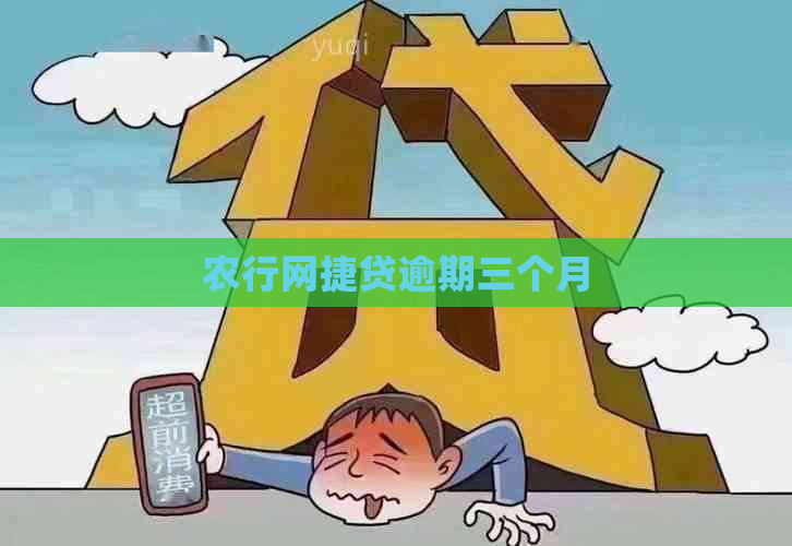 农行网捷贷逾期三个月