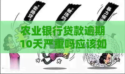 农业银行贷款逾期10天严重吗应该如何处理
