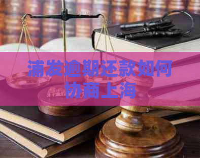 浦发逾期还款如何协商上海