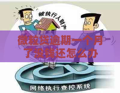 微粒贷逾期一个月了没钱还怎么办