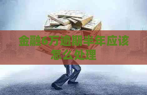 金融6万逾期半年应该怎么处理