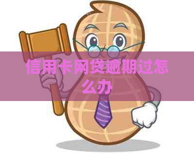 信用卡网贷逾期过怎么办