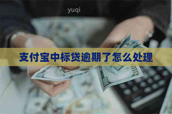 支付宝中标贷逾期了怎么处理
