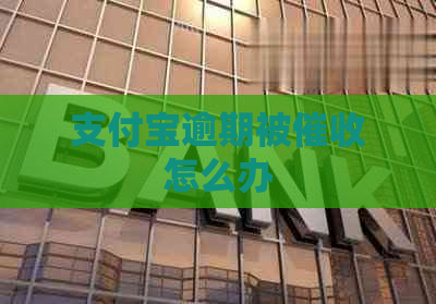 支付宝逾期被怎么办