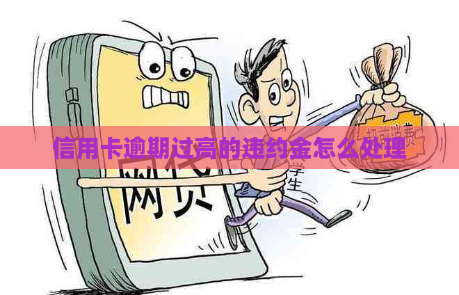 信用卡逾期过高的违约金怎么处理