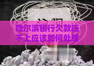 哈尔滨银行欠款还不上应该如何处理