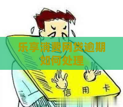 乐享消费网贷逾期如何处理