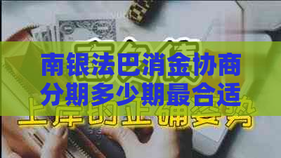 南银法巴消金协商分期多少期最合适