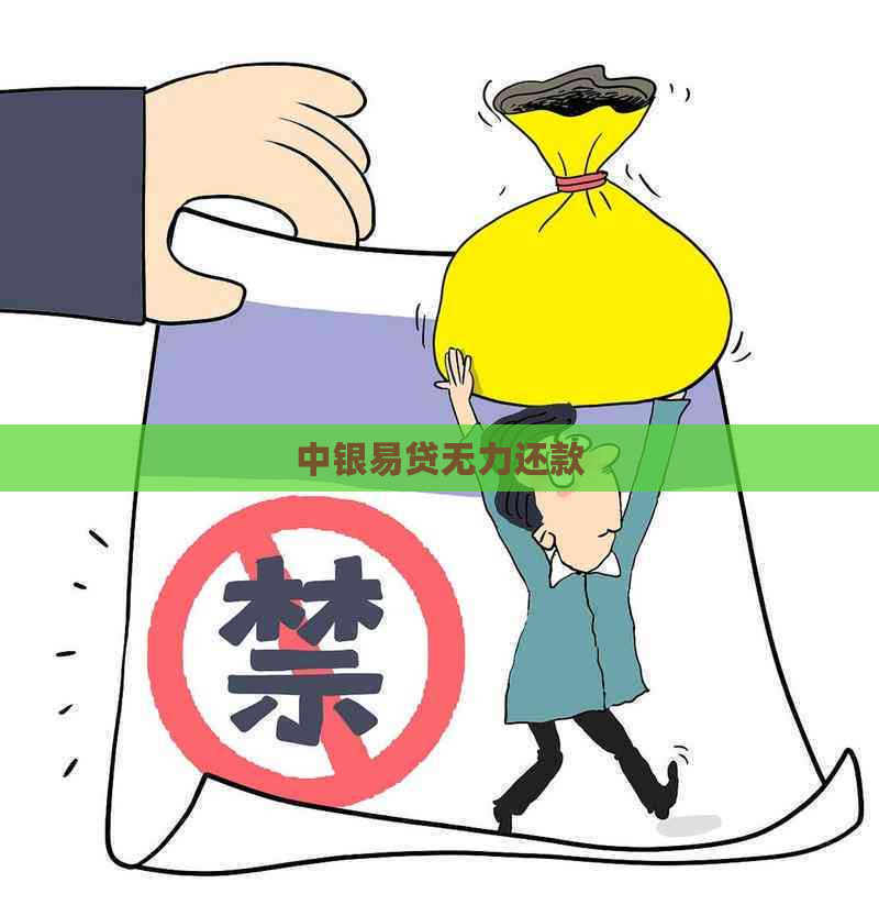 中银易贷无力还款