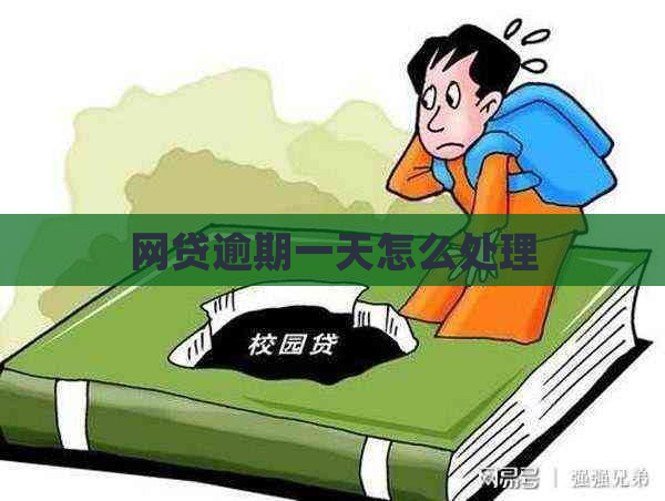 网贷逾期一天怎么处理
