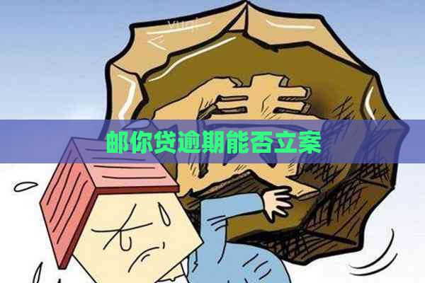 邮你贷逾期能否立案
