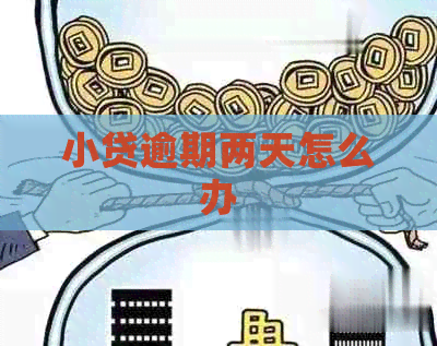 小贷逾期两天怎么办