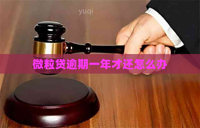 微粒贷逾期一年才还怎么办