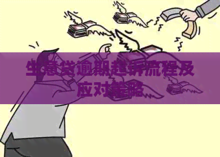 生意贷逾期起诉流程及应对策略