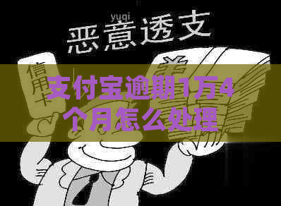 支付宝逾期1万4个月怎么处理