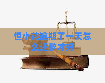 恒小花逾期了一天怎么还款才好