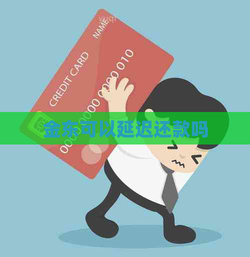 金东可以延迟还款吗