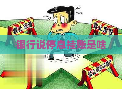 银行说停息挂账是啥
