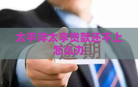 太平洋太享贷款还不上怎么办