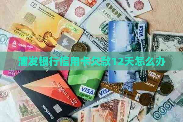浦发银行信用卡欠款12天怎么办