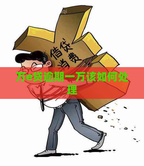 万e贷逾期一万该如何处理