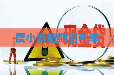 度小满逾期日利率