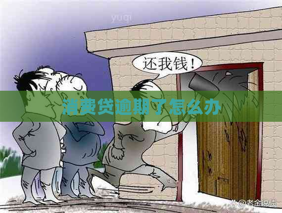 消费贷逾期了怎么办