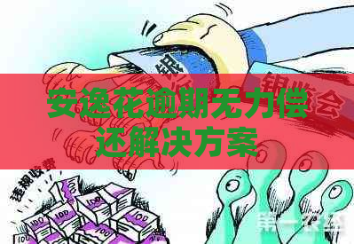 安逸花逾期无力偿还解决方案