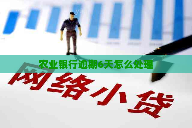 农业银行逾期6天怎么处理