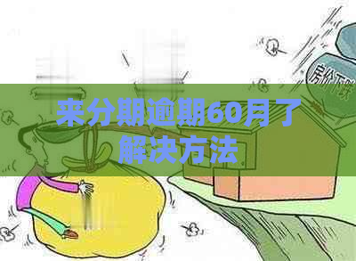 来分期逾期60月了解决方法