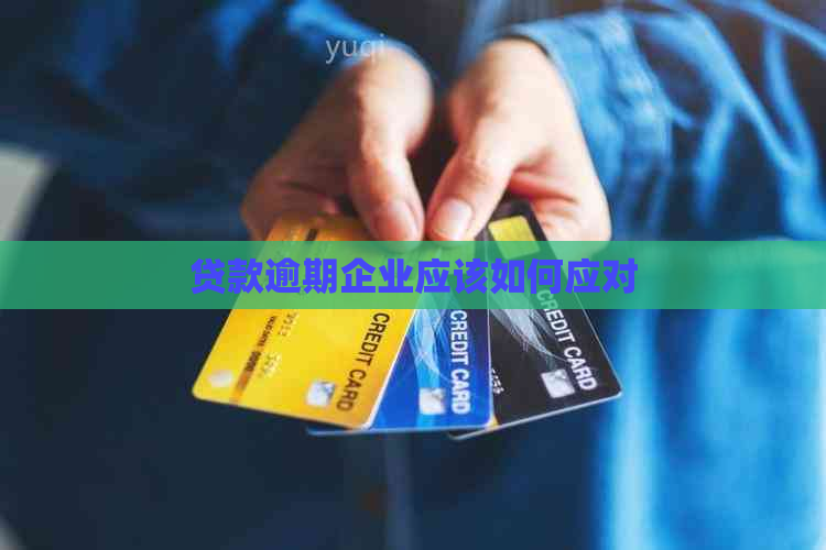 贷款逾期企业应该如何应对