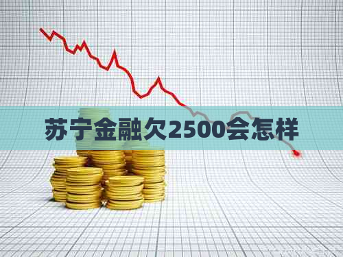 苏宁金融欠2500会怎样