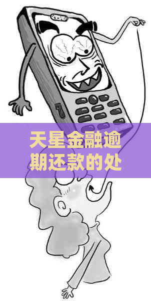 天星金融逾期还款的处理流程