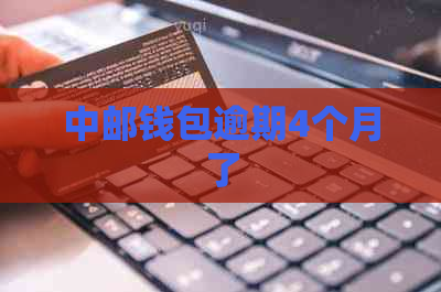 中邮钱包逾期4个月了