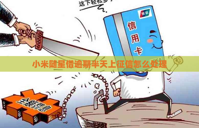 小米随星借逾期半天上怎么处理