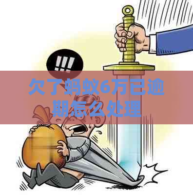 欠了蚂蚁6万已逾期怎么处理