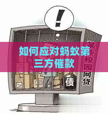 如何应对蚂蚁第三方催款