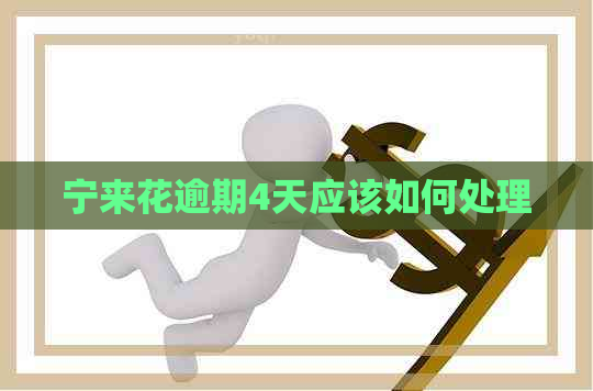 宁来花逾期4天应该如何处理
