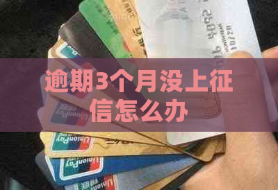 逾期3个月没上怎么办