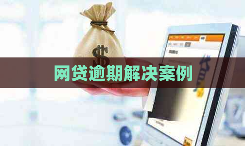 网贷逾期解决案例