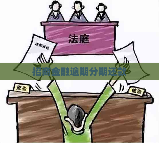 招商金融逾期分期还款