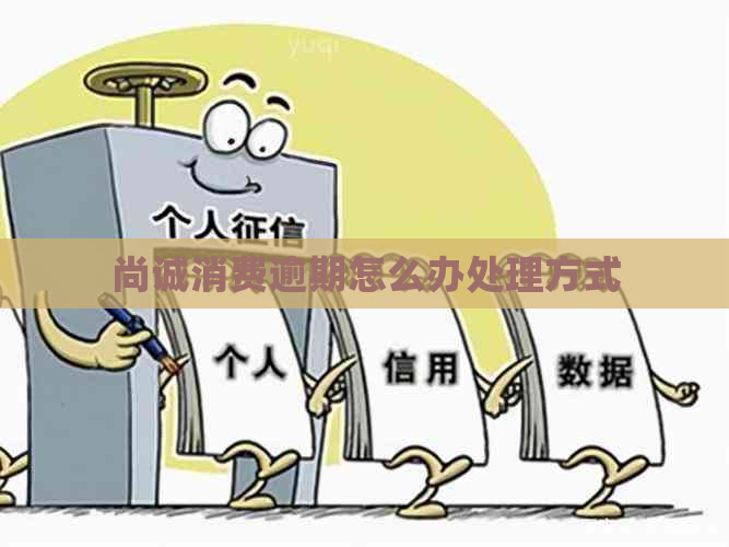 尚诚消费逾期怎么办处理方式
